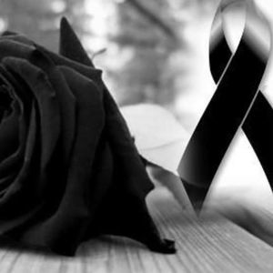 Meet your Posher, Jamilson